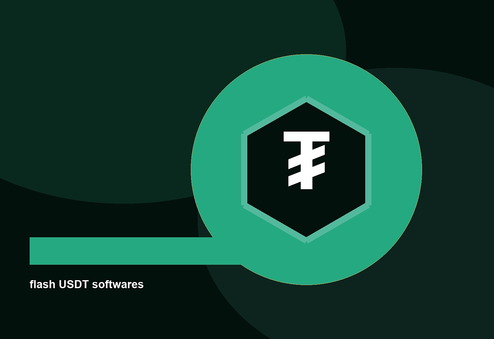 flash USDT softwares cover